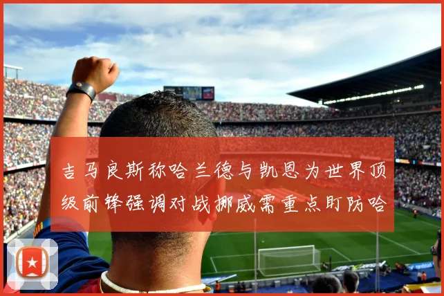 吉马良斯称哈兰德与凯恩为世界顶级前锋强调对战挪威需重点盯防哈兰德